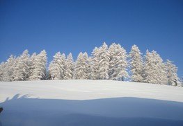 Winterpanorama Bichl